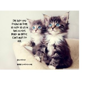 Everything in my Closet!